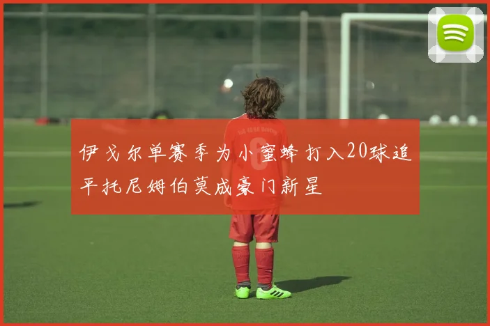 伊戈尔单赛季为小蜜蜂打入20球追平托尼姆伯莫成豪门新星