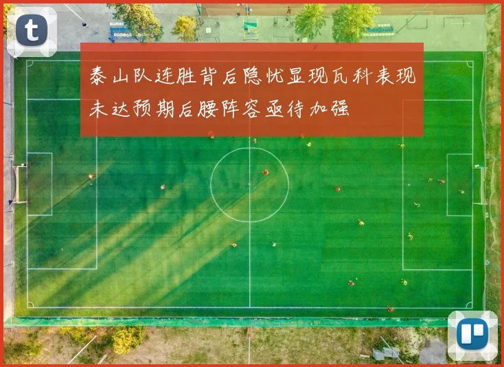 泰山队连胜背后隐忧显现瓦科表现未达预期后腰阵容亟待加强